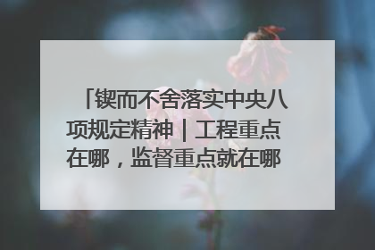 锲而不舍落实中央八项规定精神｜工程重点在哪，监督重点就在哪——广西深化政治监督护航平陆运河建设