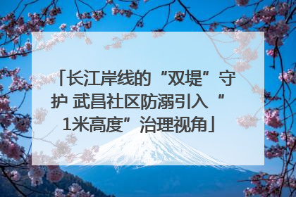 长江岸线的“双堤”守护 武昌社区防溺引入“1米高度”治理视角