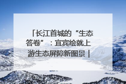 长江首城的“生态答卷”：宜宾绘就上游生态屏障新图景｜中华环保世纪行