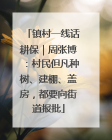 镇村一线话耕保｜周张博：村民但凡种树、建棚、盖房，都要向街道报批