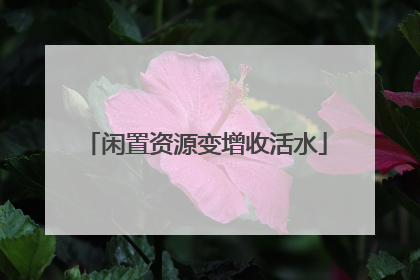 闲置资源变增收活水