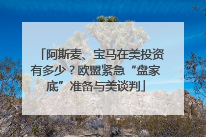 阿斯麦、宝马在美投资有多少？欧盟紧急“盘家底”准备与美谈判
