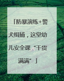 防暴演练+警犬缉捕，这堂幼儿安全课“干货满满”