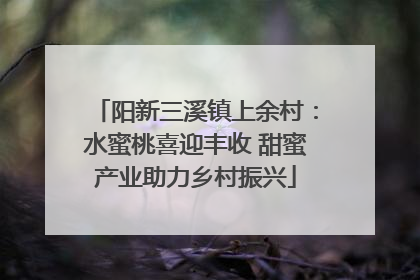 阳新三溪镇上余村：水蜜桃喜迎丰收 甜蜜产业助力乡村振兴