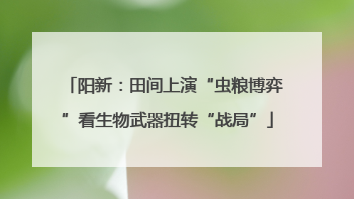 阳新：田间上演“虫粮博弈”看生物武器扭转“战局”