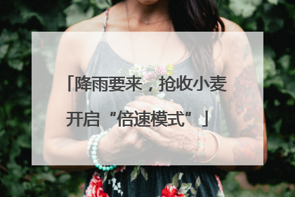 降雨要来，抢收小麦开启“倍速模式”