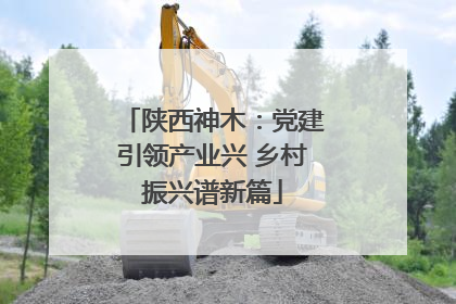 陕西神木：党建引领产业兴 乡村振兴谱新篇