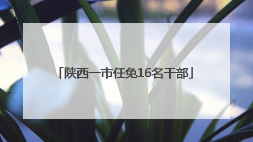陕西一市任免16名干部