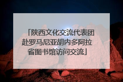 陕西文化交流代表团赴罗马尼亚胡内多阿拉省图书馆访问交流
