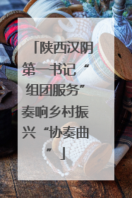 陕西汉阴第一书记“组团服务”奏响乡村振兴“协奏曲”