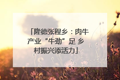 隆德张程乡：肉牛产业“牛劲”足 乡村振兴添活力