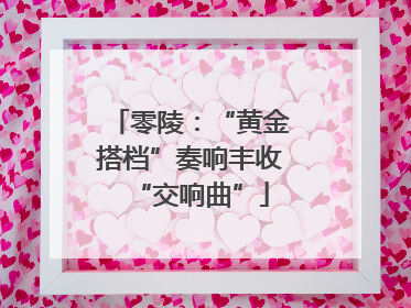 零陵：“黄金搭档”奏响丰收“交响曲”