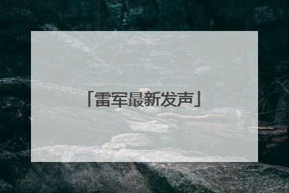 雷军最新发声