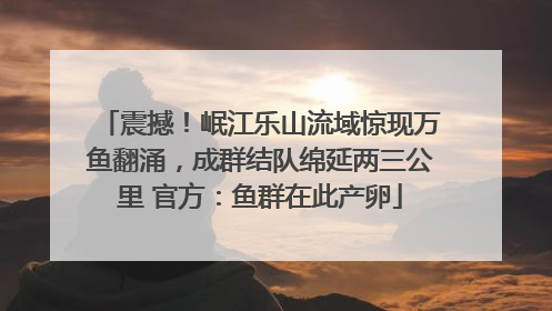 震撼！岷江乐山流域惊现万鱼翻涌，成群结队绵延两三公里 官方：鱼群在此产卵