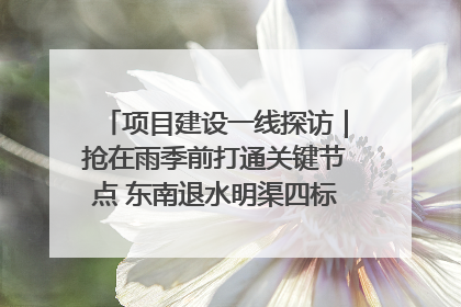 项目建设一线探访｜抢在雨季前打通关键节点 东南退水明渠四标段项目顺利完工