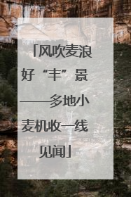 风吹麦浪好“丰”景——多地小麦机收一线见闻