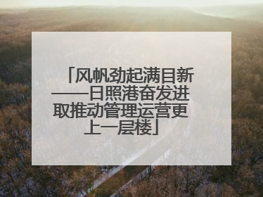 风帆劲起满目新——日照港奋发进取推动管理运营更上一层楼