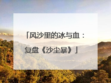 风沙里的冰与血：复盘《沙尘暴》