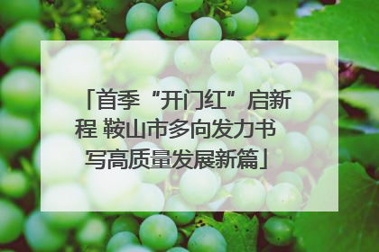 首季“开门红”启新程 鞍山市多向发力书写高质量发展新篇