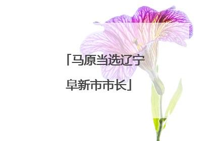马原当选辽宁阜新市市长