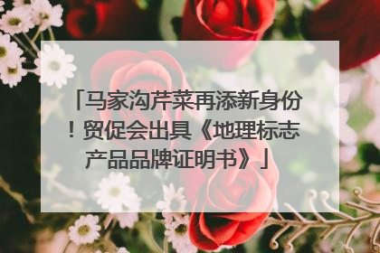 马家沟芹菜再添新身份！贸促会出具《地理标志产品品牌证明书》