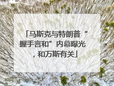 马斯克与特朗普“握手言和”内幕曝光，和万斯有关