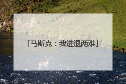 马斯克：我进退两难