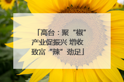高台：聚“椒”产业促振兴 增收致富“辣”劲足