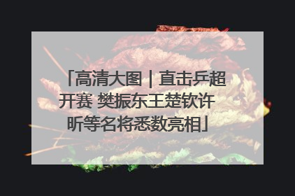 高清大图｜直击乒超开赛 樊振东王楚钦许昕等名将悉数亮相