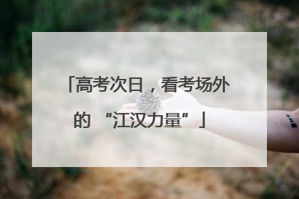高考次日，看考场外的 “江汉力量”