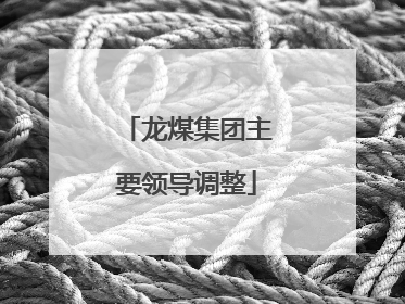 龙煤集团主要领导调整