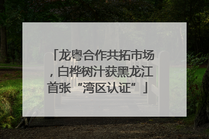 龙粤合作共拓市场，白桦树汁获黑龙江首张“湾区认证”