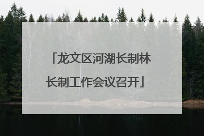 龙文区河湖长制林长制工作会议召开