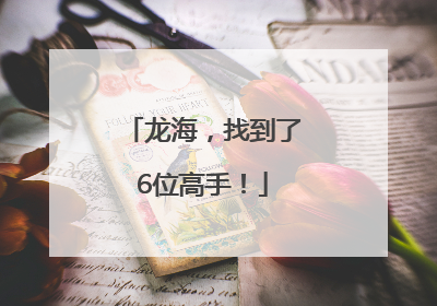 龙海，找到了6位高手！