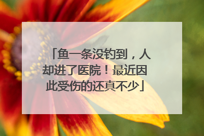 鱼一条没钓到，人却进了医院！最近因此受伤的还真不少