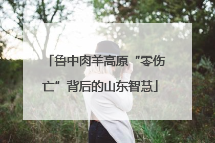 鲁中肉羊高原“零伤亡”背后的山东智慧