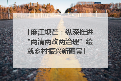 麻江坝芒：纵深推进“两清两改两治理”绘就乡村振兴新图景