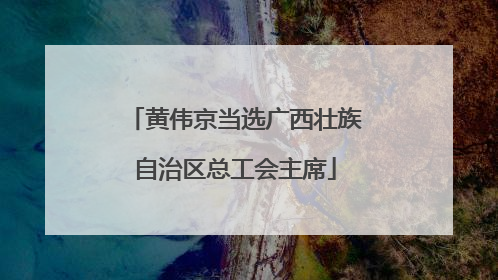黄伟京当选广西壮族自治区总工会主席