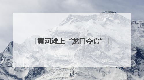 黄河滩上“龙口夺食”