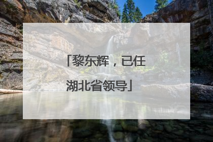 黎东辉，已任湖北省领导