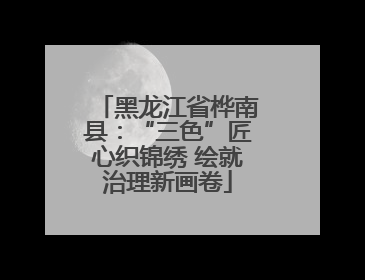 黑龙江省桦南县：“三色”匠心织锦绣 绘就治理新画卷