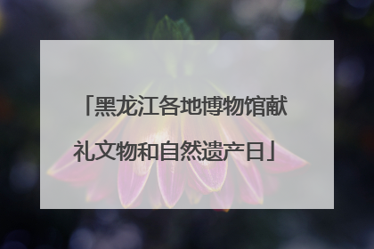 黑龙江各地博物馆献礼文物和自然遗产日