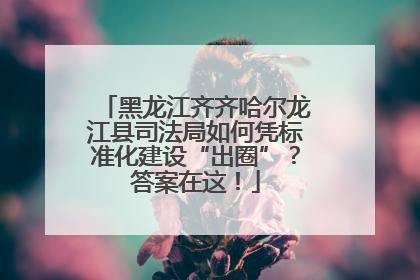 黑龙江齐齐哈尔龙江县司法局如何凭标准化建设“出圈”？答案在这！
