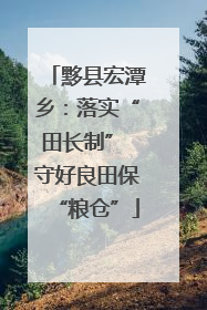 黟县宏潭乡：落实“田长制” 守好良田保“粮仓”