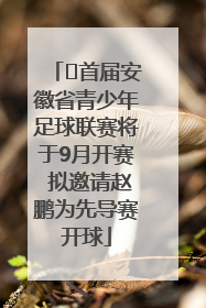 ﻿首届安徽省青少年足球联赛将于9月开赛 拟邀请赵鹏为先导赛开球