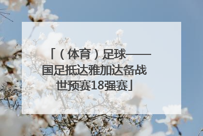 （体育）足球——国足抵达雅加达备战世预赛18强赛