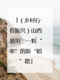 （乡村行·看振兴）山西襄垣：一粒“米”的新“稻”路