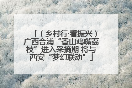 （乡村行·看振兴）广西合浦“香山鸡嘴荔枝”进入采摘期 将与西安“梦幻联动”