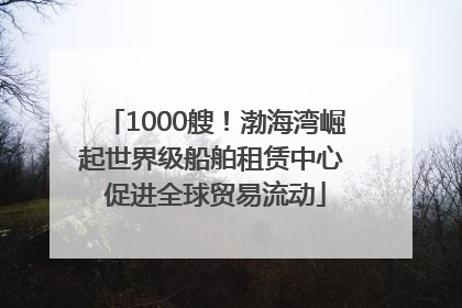 1000艘！渤海湾崛起世界级船舶租赁中心 促进全球贸易流动