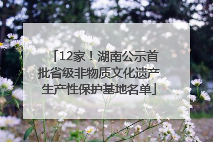 12家！湖南公示首批省级非物质文化遗产生产性保护基地名单